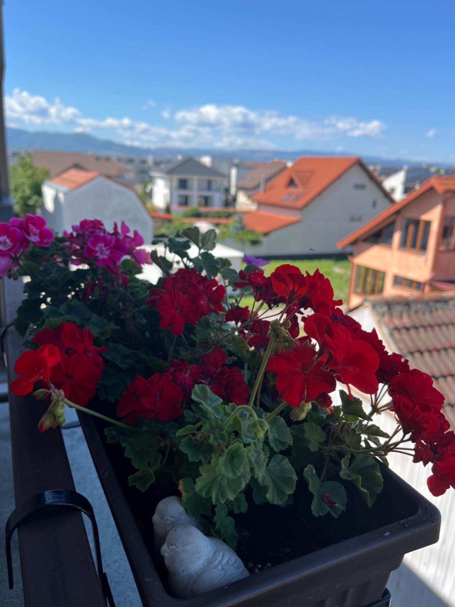 Apartament Acasa Sybin Zewnętrze zdjęcie